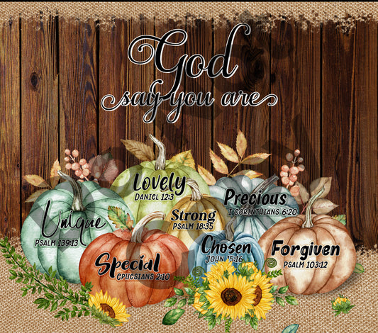 God says you are-pumpkins tumbler transfer