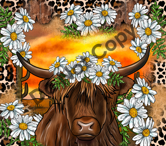 Highland cow daisies sunset tumbler transfer