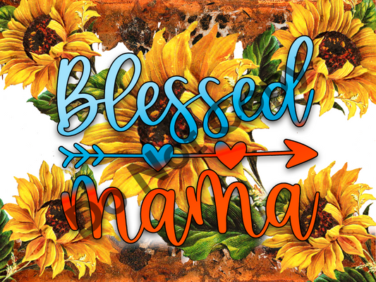 Blessed mama blue orange tumbler transfer