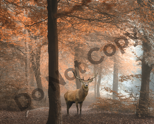 Deer in woods tumbler transfer